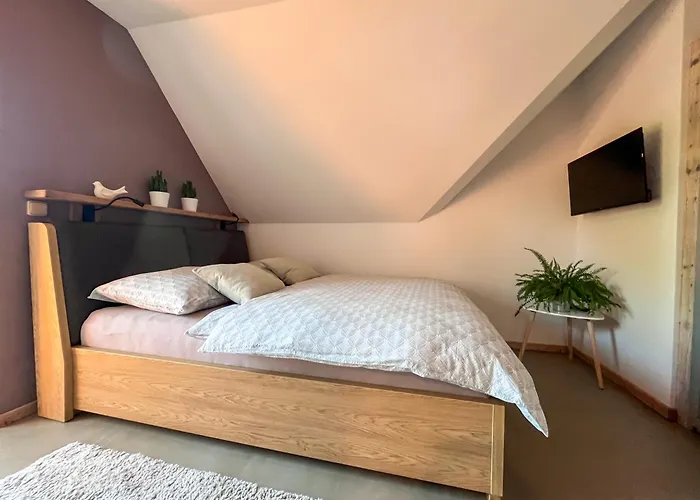 Apartament Hut 2 Harrachov